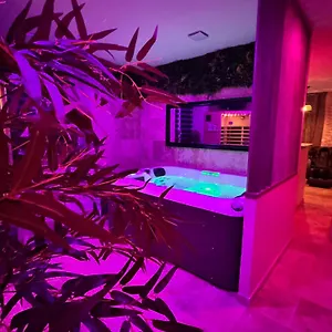 Le Boudoir Suite&spa Love hotel Malissard
